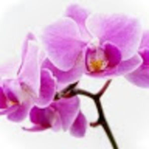 Meet your Posher, Kendra